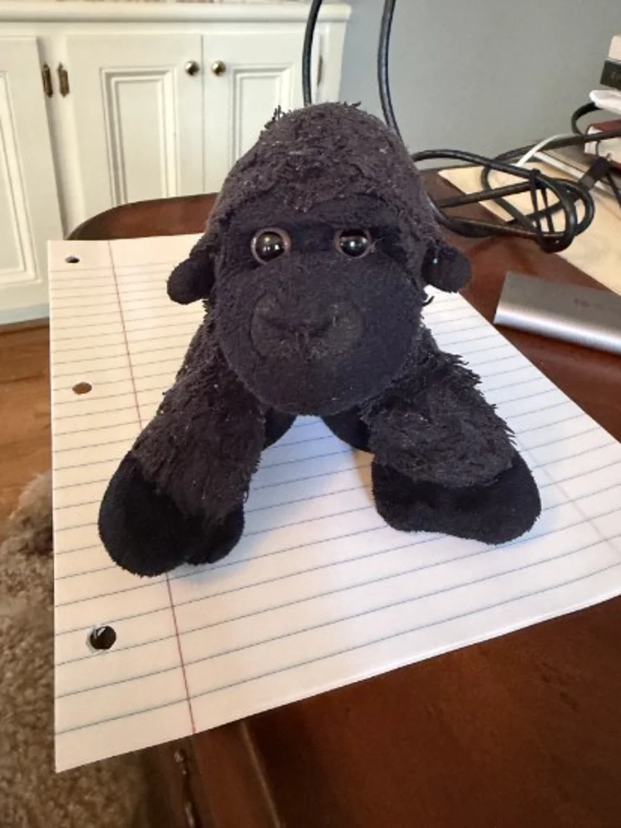 Original photo of Willie the Gorillie